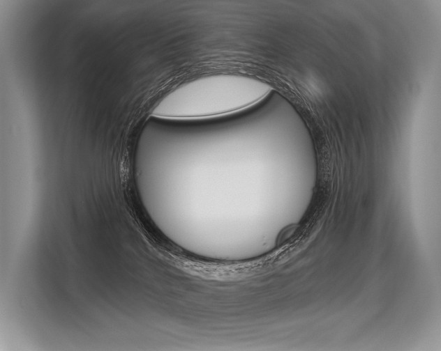 X0000113570040200909181008