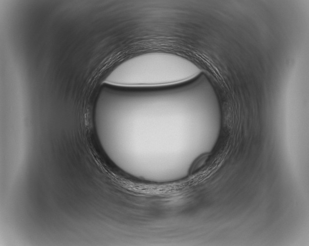 X0000113570044200909181008