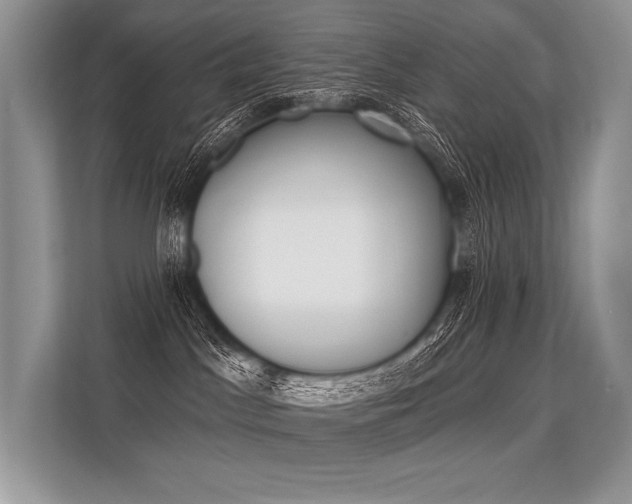 X0000113570045200909181008