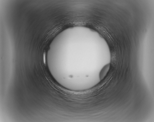 X0000113570046200909181008