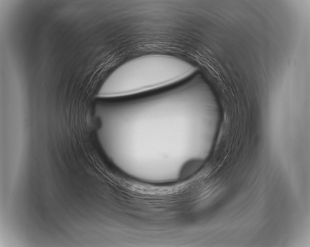 X0000113570048200909181008
