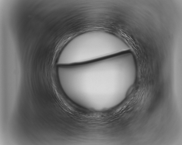 X0000113570049200909181008