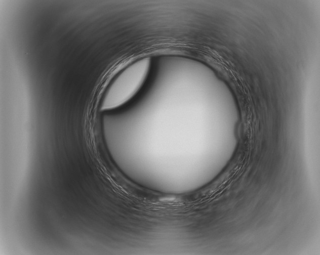 X0000113570050200909181008