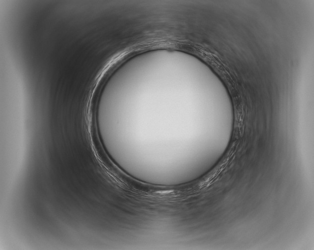 X0000113570054200909181008
