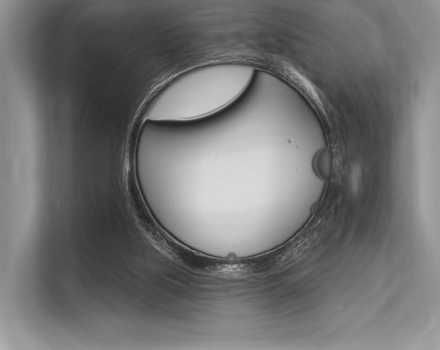X0000113570059200909181008