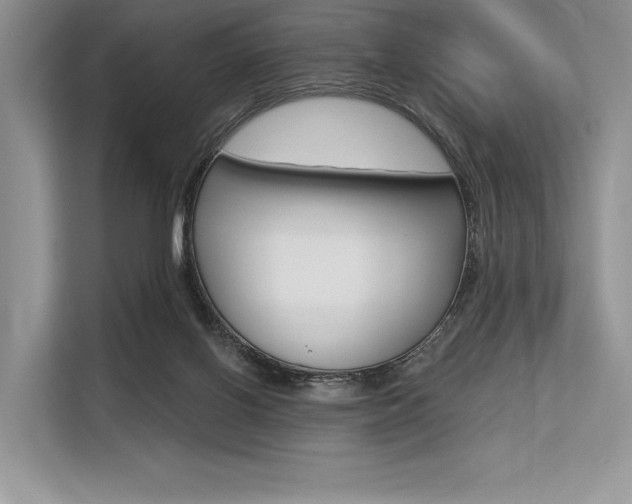 X0000113570070200909181008