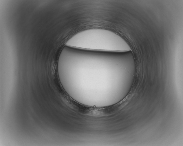 X0000113570078200909181008