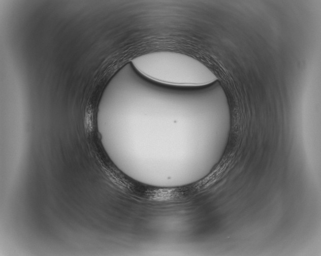 X0000113570090200909181008
