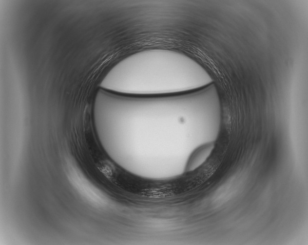X0000113570095200909181008