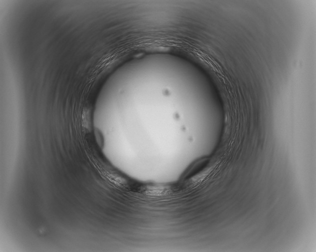 X0000113570096200909181008