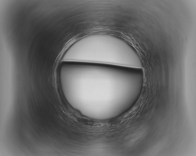 X0000113570099200909181007