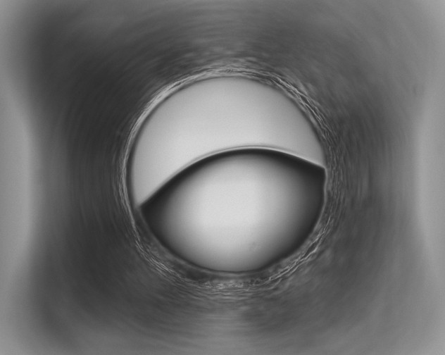 X0000113570100200909181007
