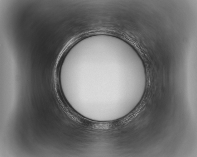 X0000113570102200909181007