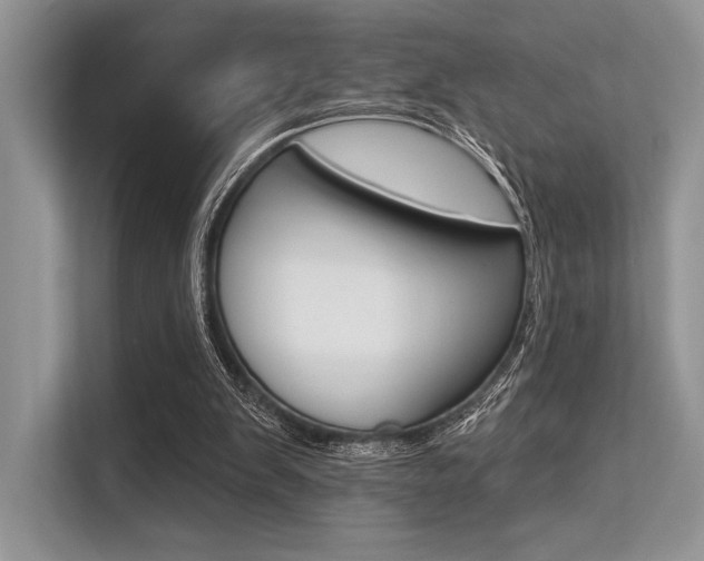 X0000113570103200909181007