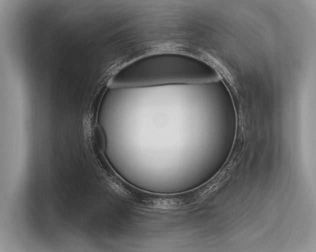 X0000113570105200909181007