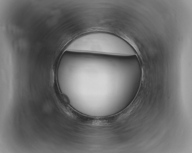 X0000113570109200909181007