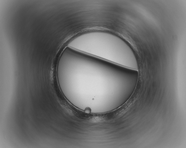 X0000113570111200909181007