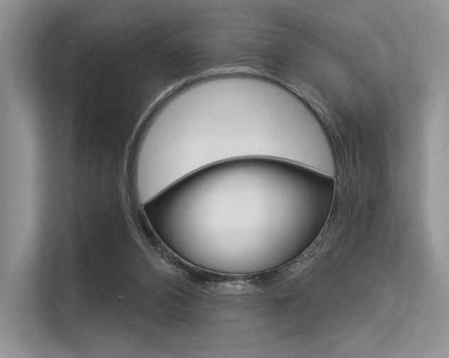 X0000113570112200909181007