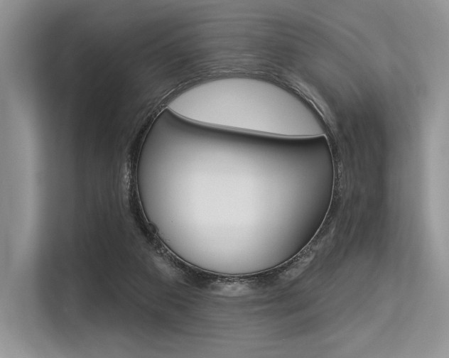X0000113570113200909181007