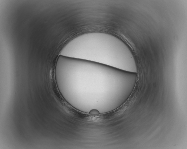 X0000113570117200909181007
