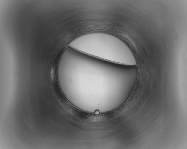 X0000113570123200909181007