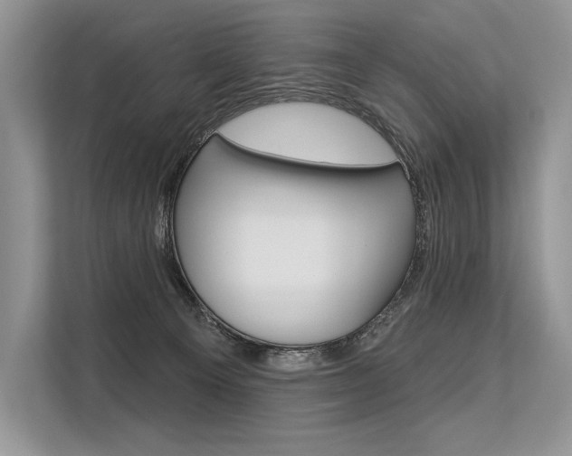 X0000113570129200909181007