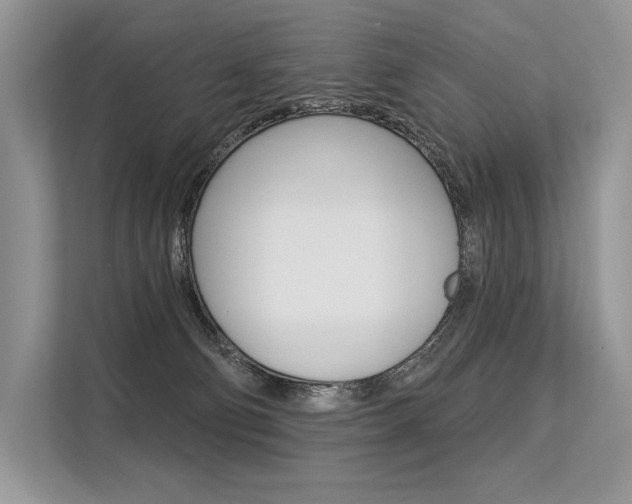 X0000113570130200909181007