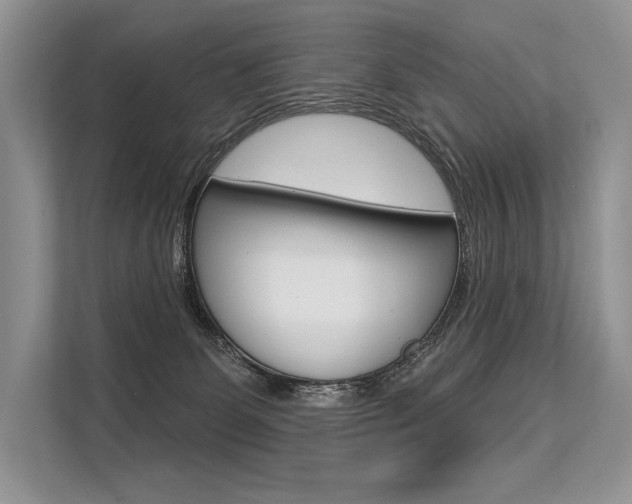 X0000113570131200909181007