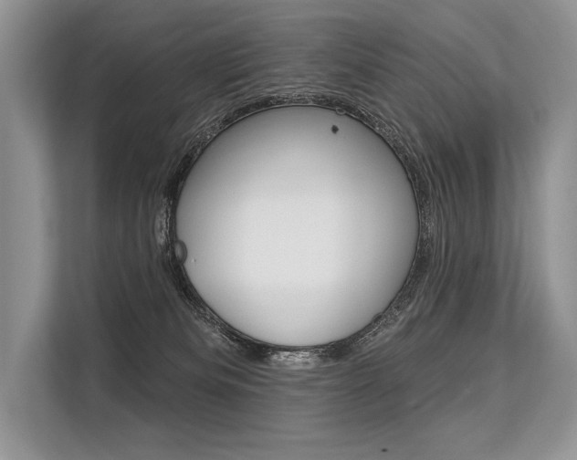 X0000113570133200909181007
