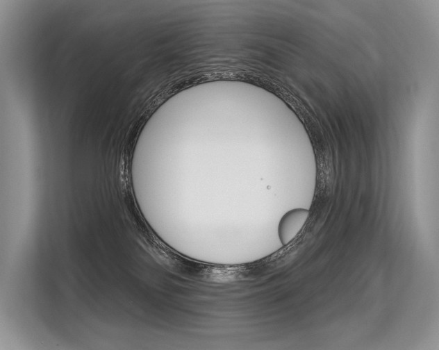 X0000113570134200909181007