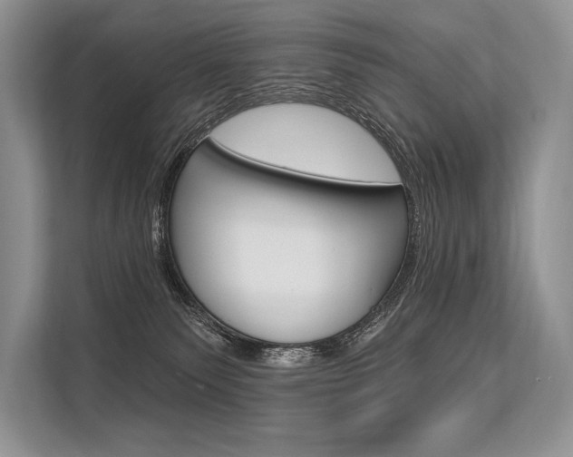 X0000113570135200909181007