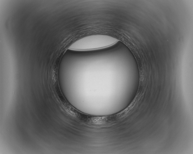 X0000113570136200909181007