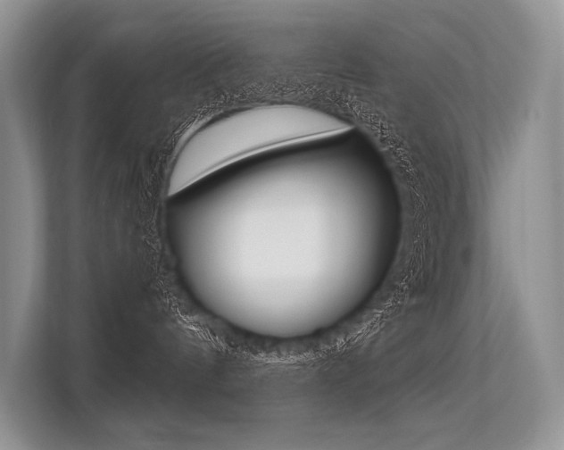 X0000113570144200909181007