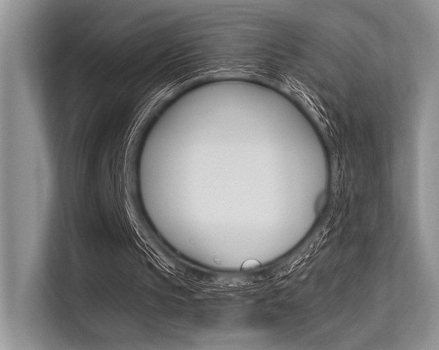 X0000113570145200909181006