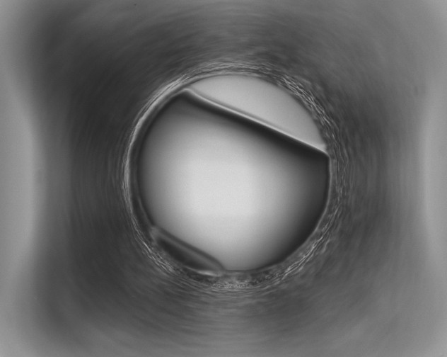X0000113570148200909181006
