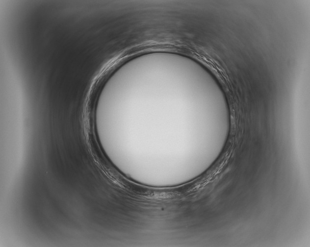 X0000113570149200909181006