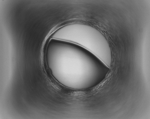 X0000113570150200909181006