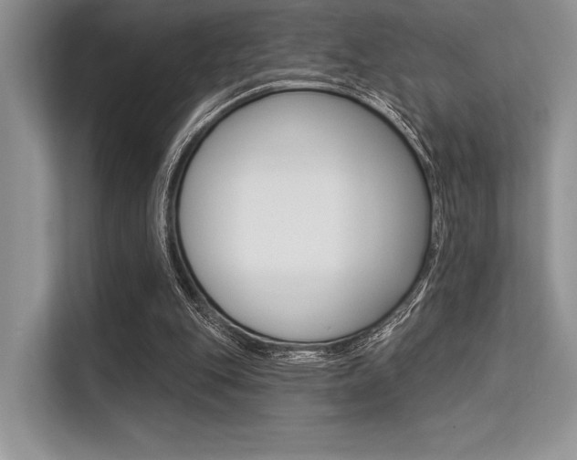 X0000113570151200909181006