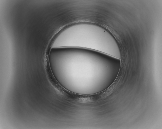 X0000113570160200909181006