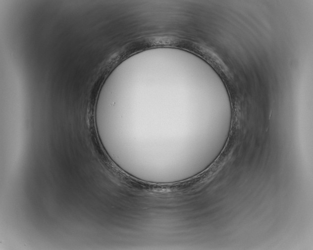 X0000113570161200909181006