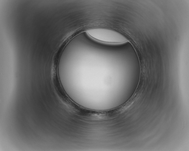 X0000113570164200909181006