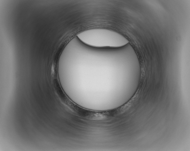 X0000113570166200909181006