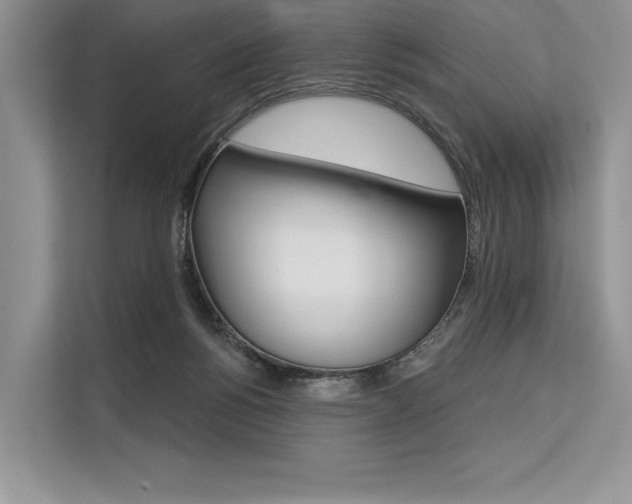 X0000113570168200909181006