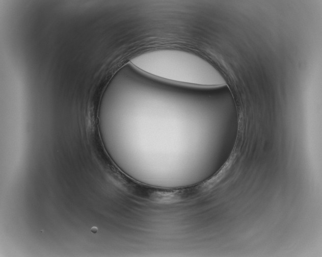 X0000113570170200909181006