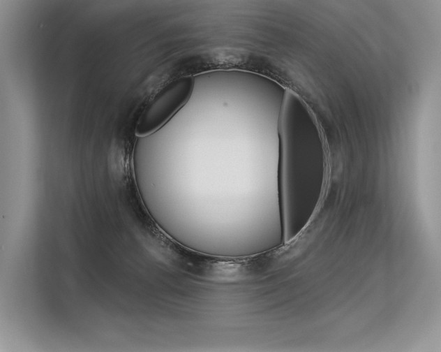 X0000113570176200909181006