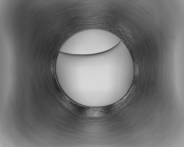 X0000113570179200909181007