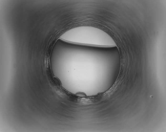 X0000113570180200909181007