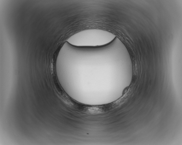 X0000113570183200909181007