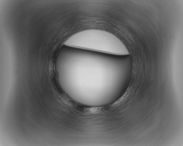 X0000113570184200909181007