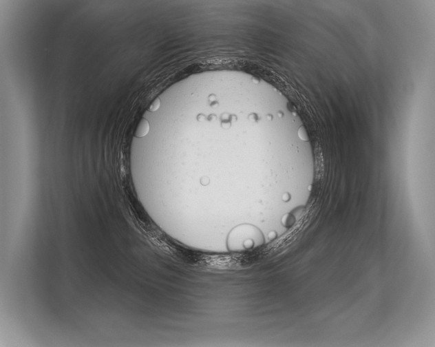 X0000113570187200909181007